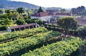 Винарна Винарна Bodegas Torres