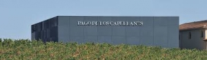 Винарна Винарна Pago de Capellanes